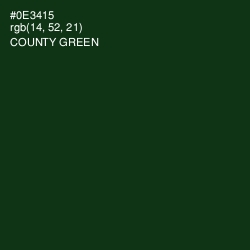 #0E3415 - County Green Color Image